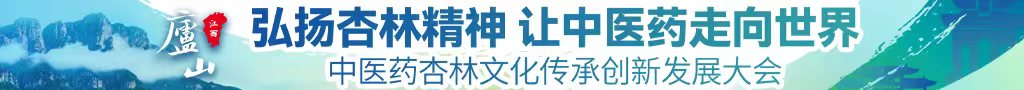 JJ插入BB视频免费观看中医药杏林文化传承创新发展大会